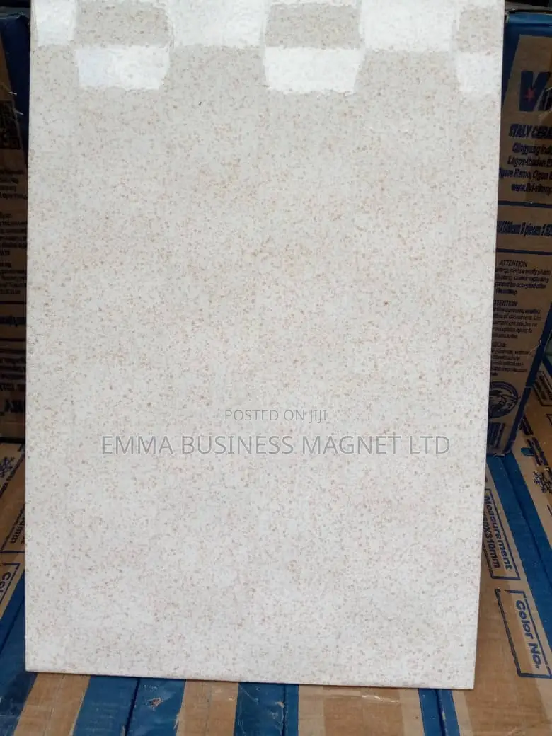 High Quality 25x40 Champion Wall Tiles