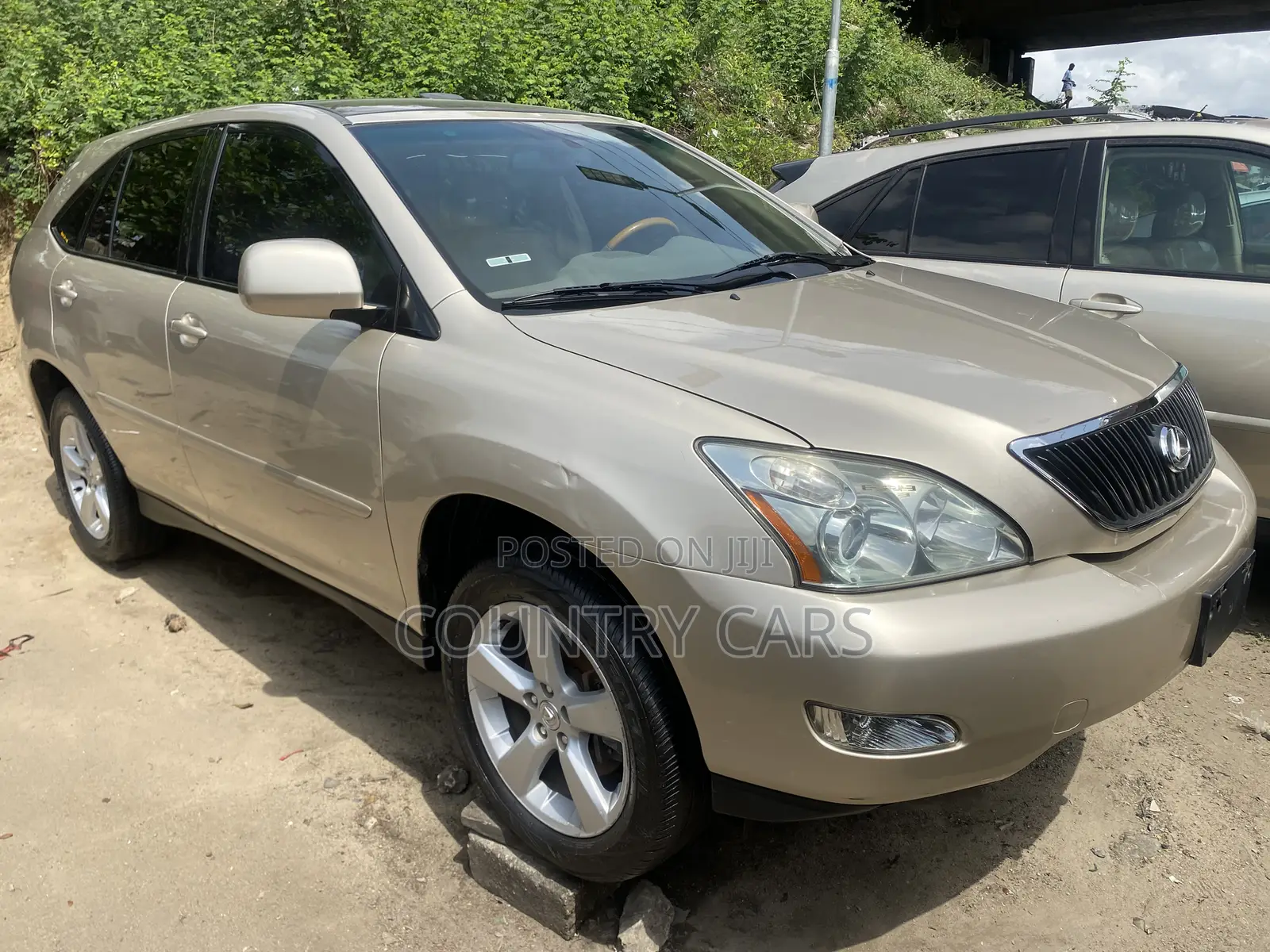 Lexus RX 330 2005 Gold