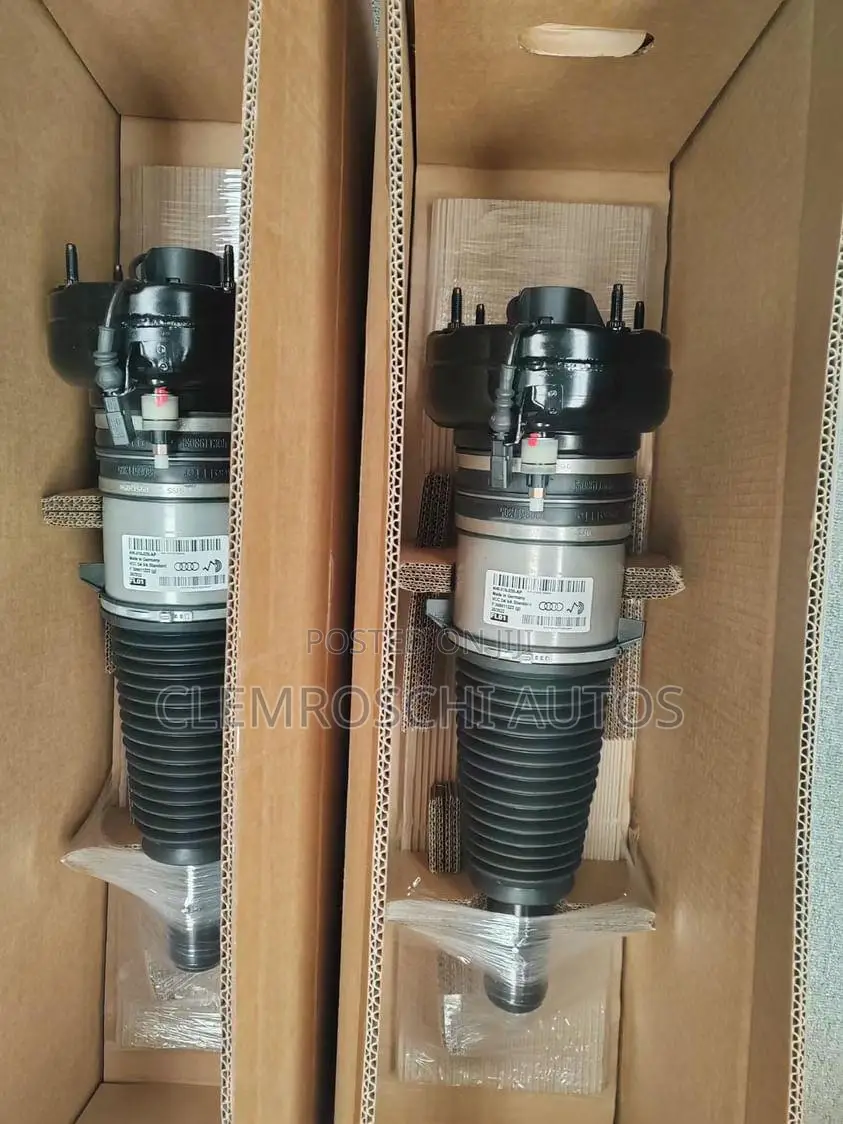 High Quality Certified Brand New Shock Absorber for Audi R8