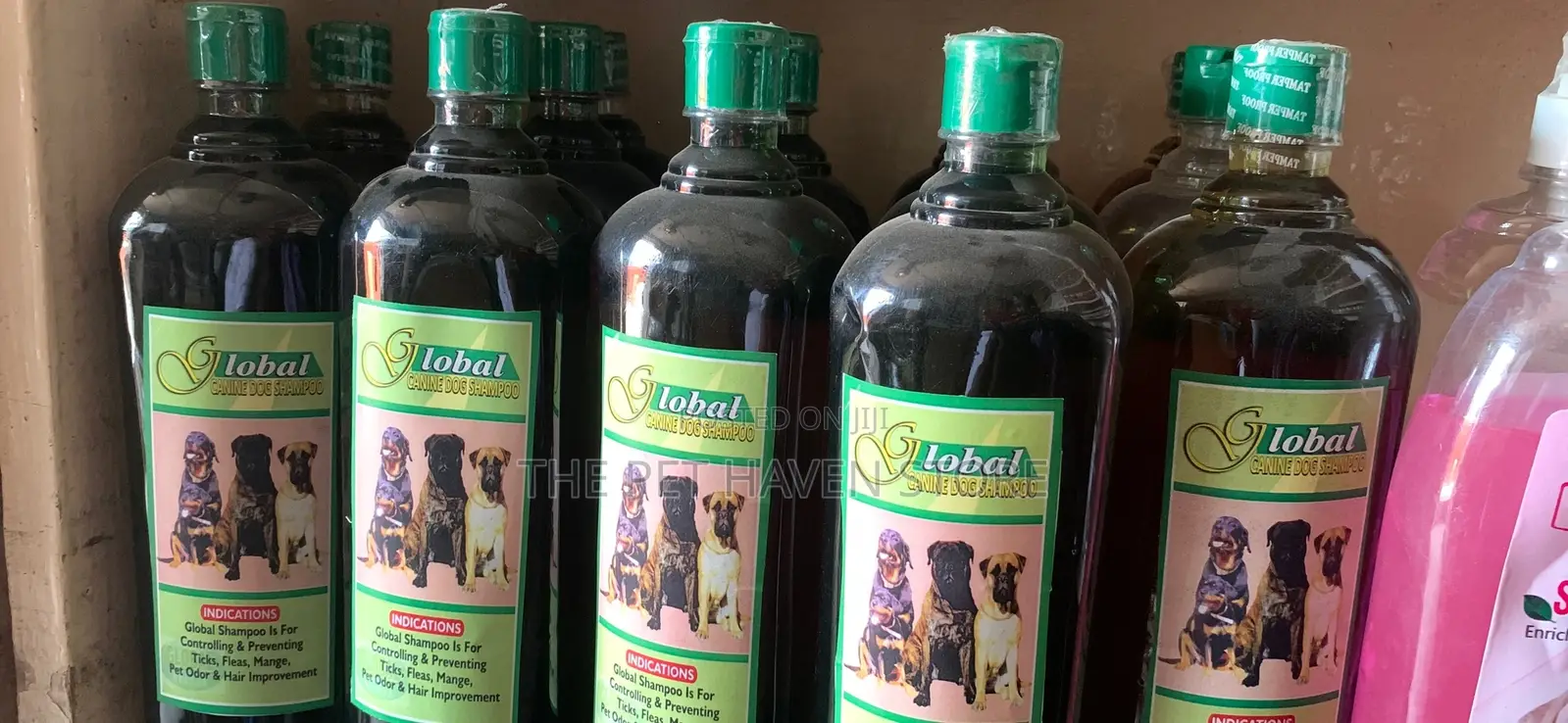 Global Shampoo