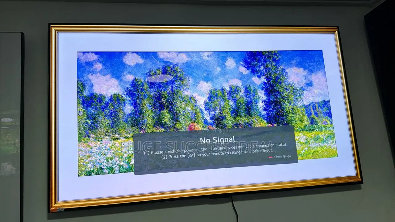LG 55" Smart Ultra HD HDR OLED TV With Google Assistant
