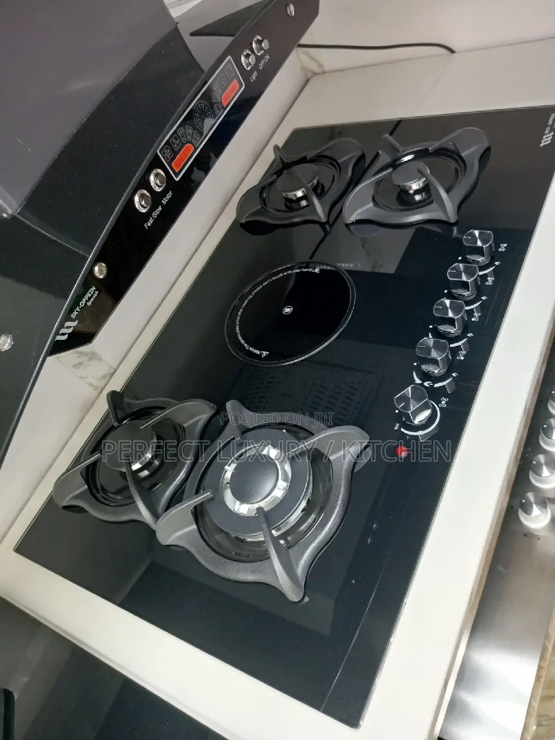 Electric Gas Burner With Hot Plate