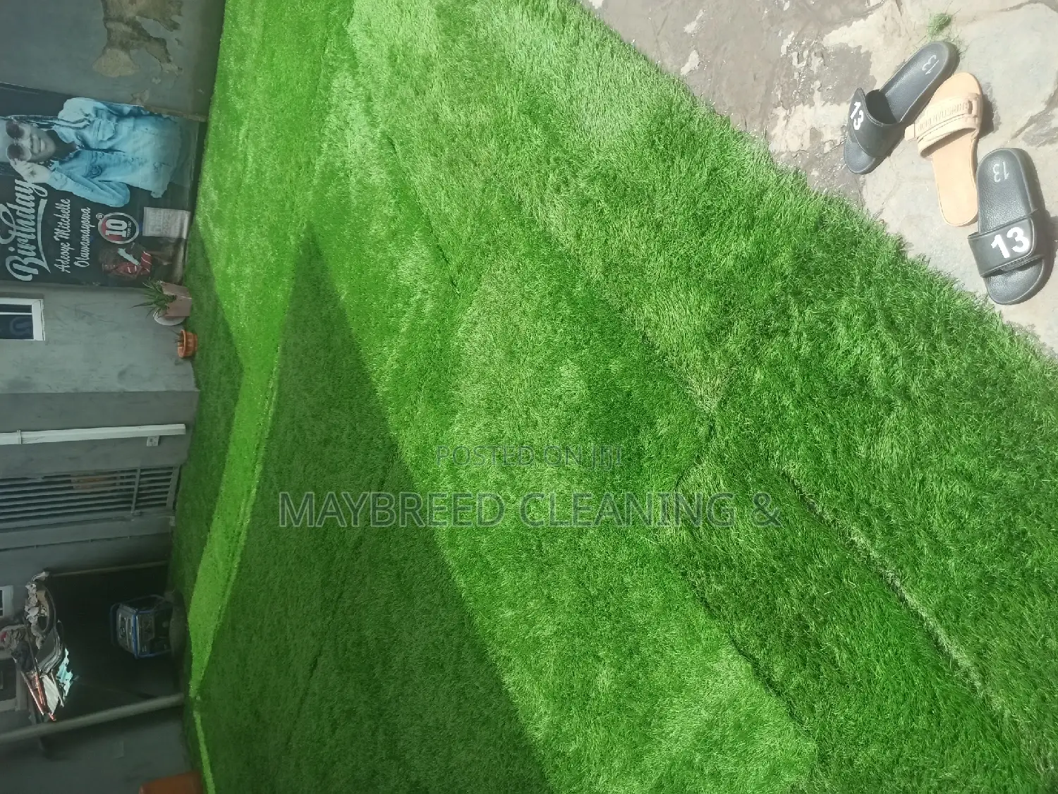 Artificial Grass Cleaning and House Cleaning