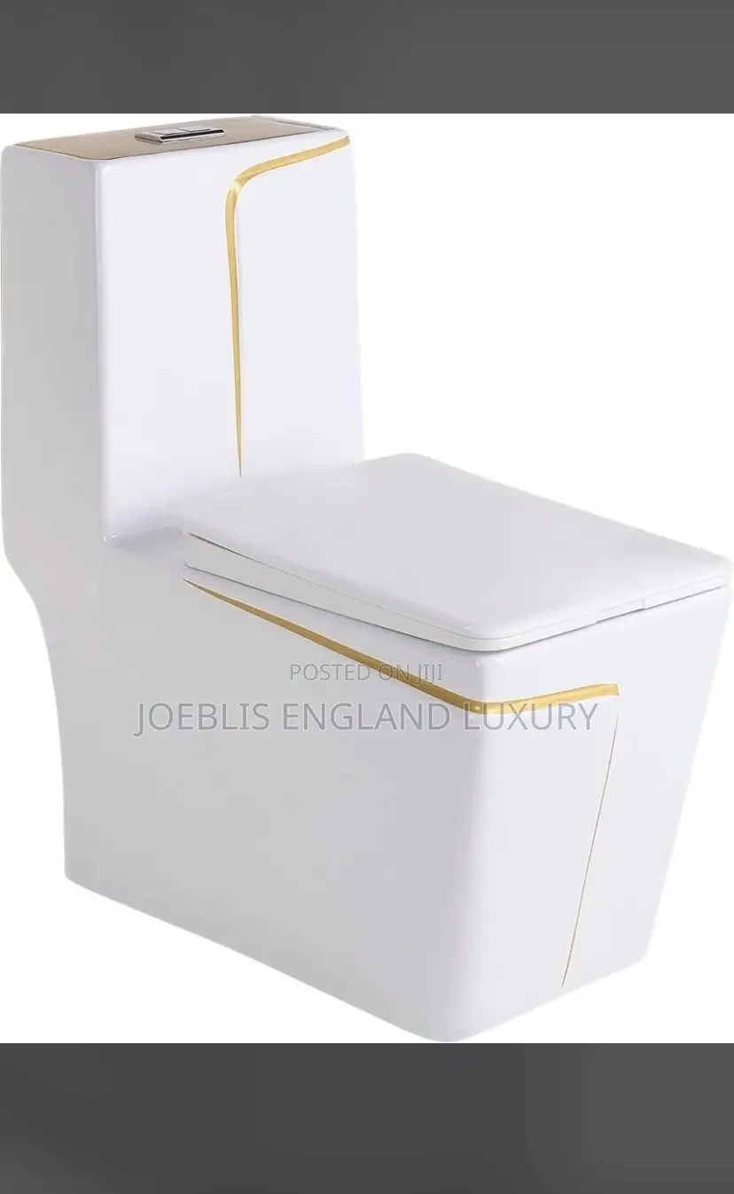 Executive White Square Wc With Gold Line and Wash Hand Basin