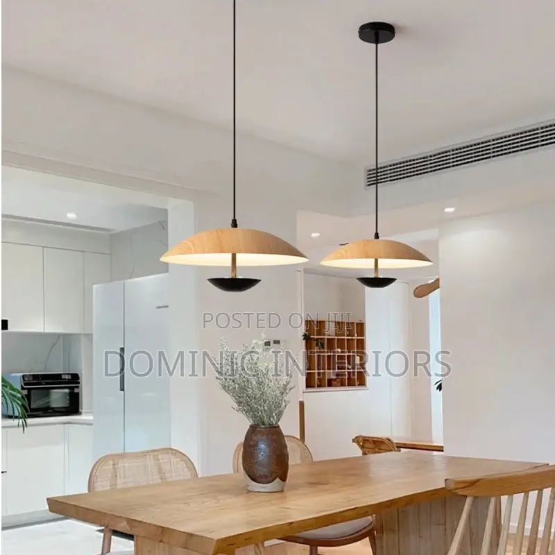 Dish-Shaped Nordic Pendant Lamp