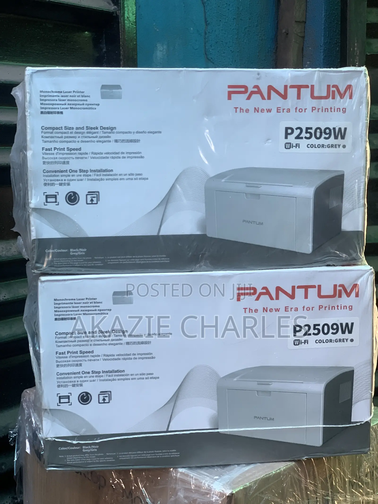 Pantum Printer P2509w