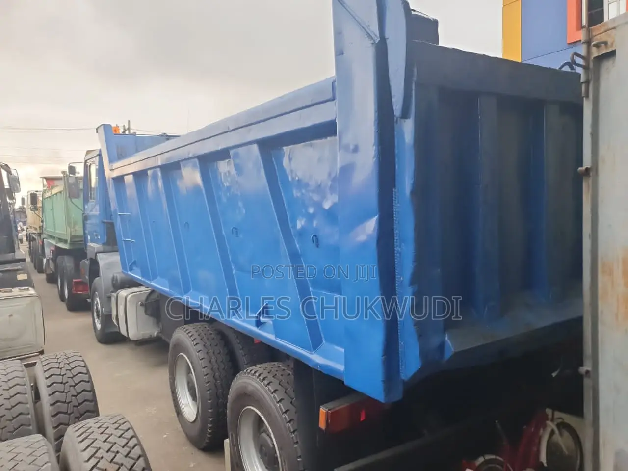 Ch Mack Tipper