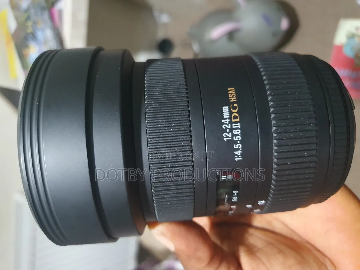 Canon EF Mount 12-24mm Wide Lens