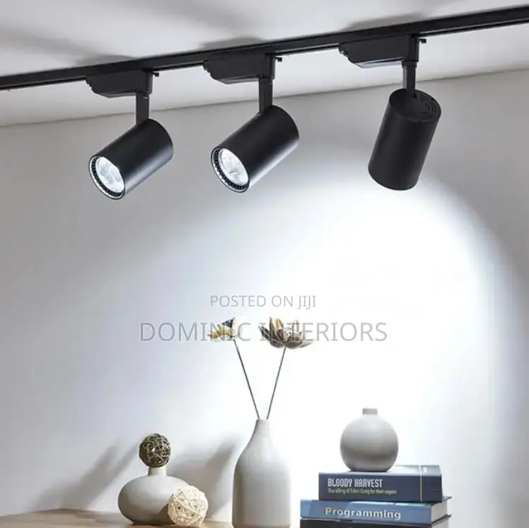 Adjustable Track Light