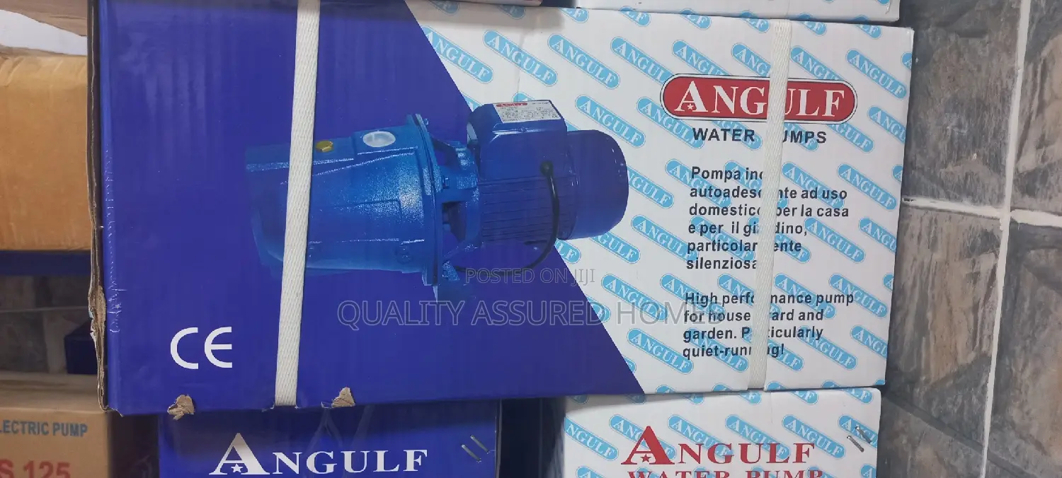 1hp Original 100 Copper Coil Water Pump