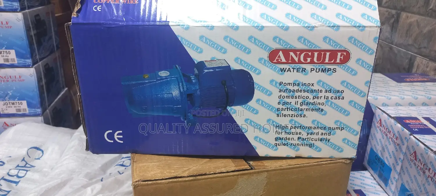 1hp Original 100 Copper Coil Water Pump