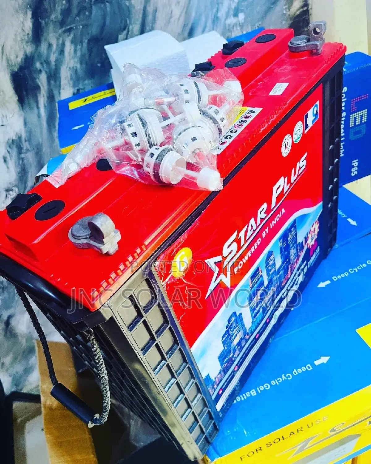 220ah/12v Star Plus Tubular Battery