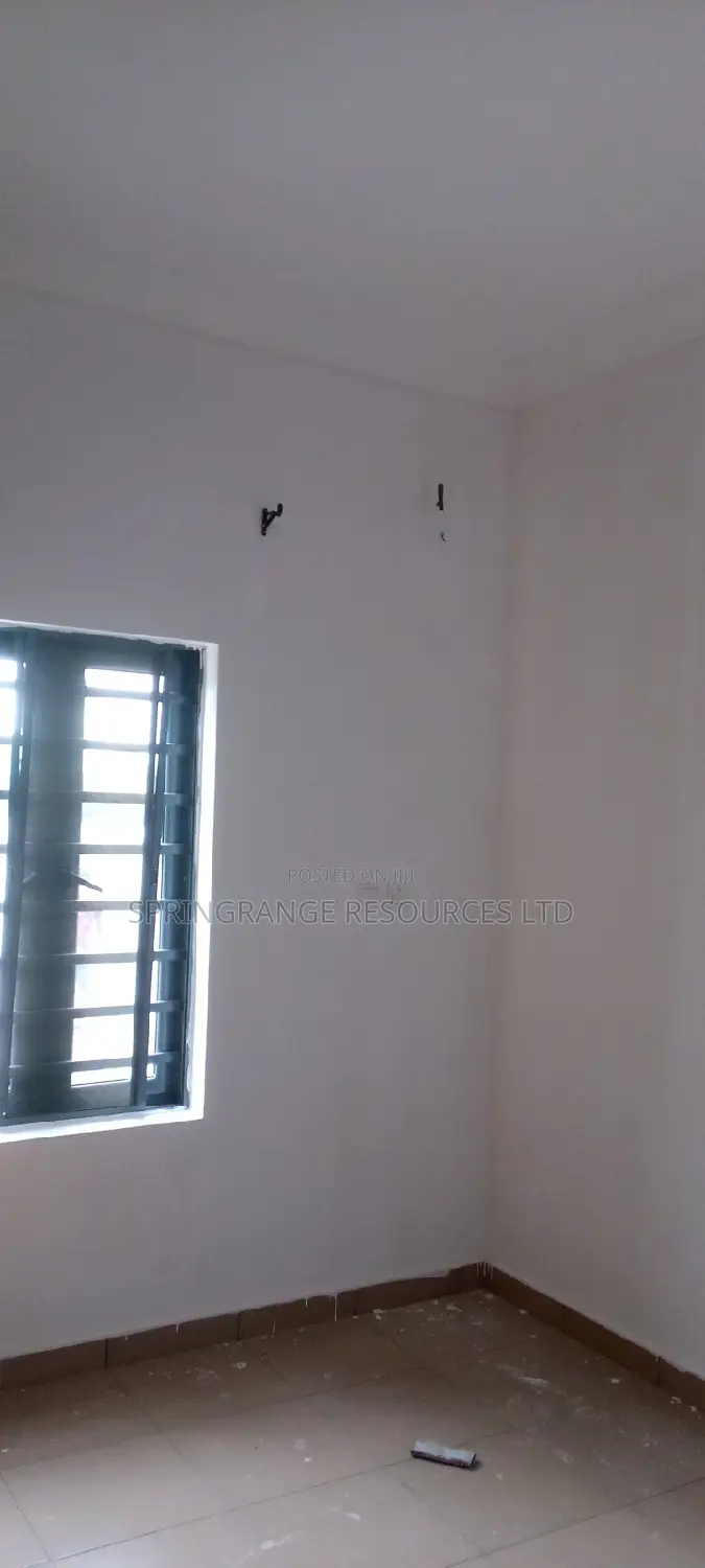 House Painting Expert