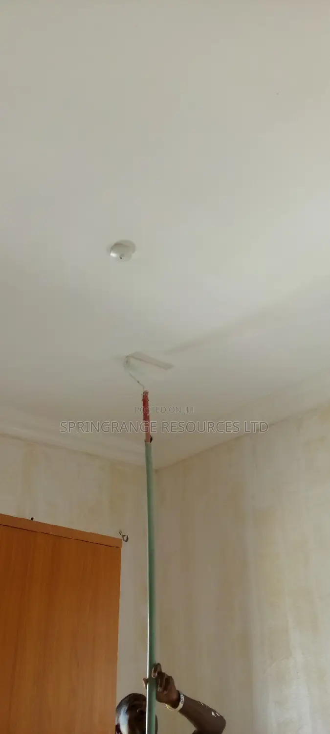 House Painting Expert