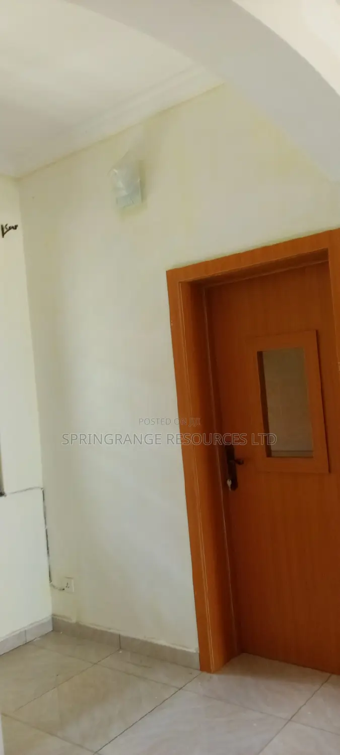 House Painting Expert
