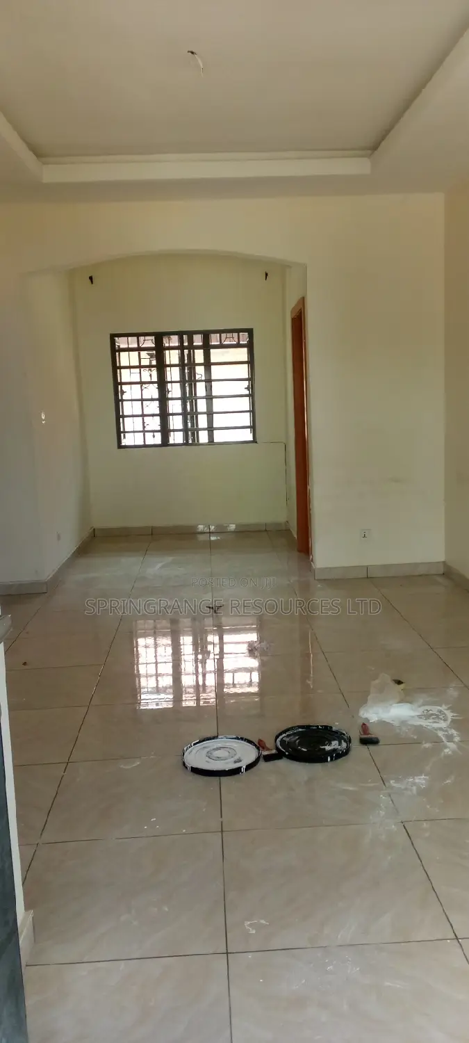 House Painting Expert