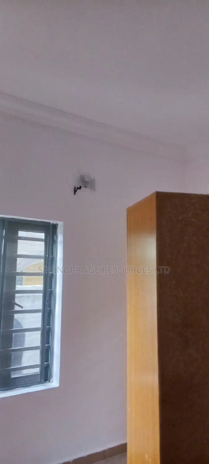 House Painting Expert