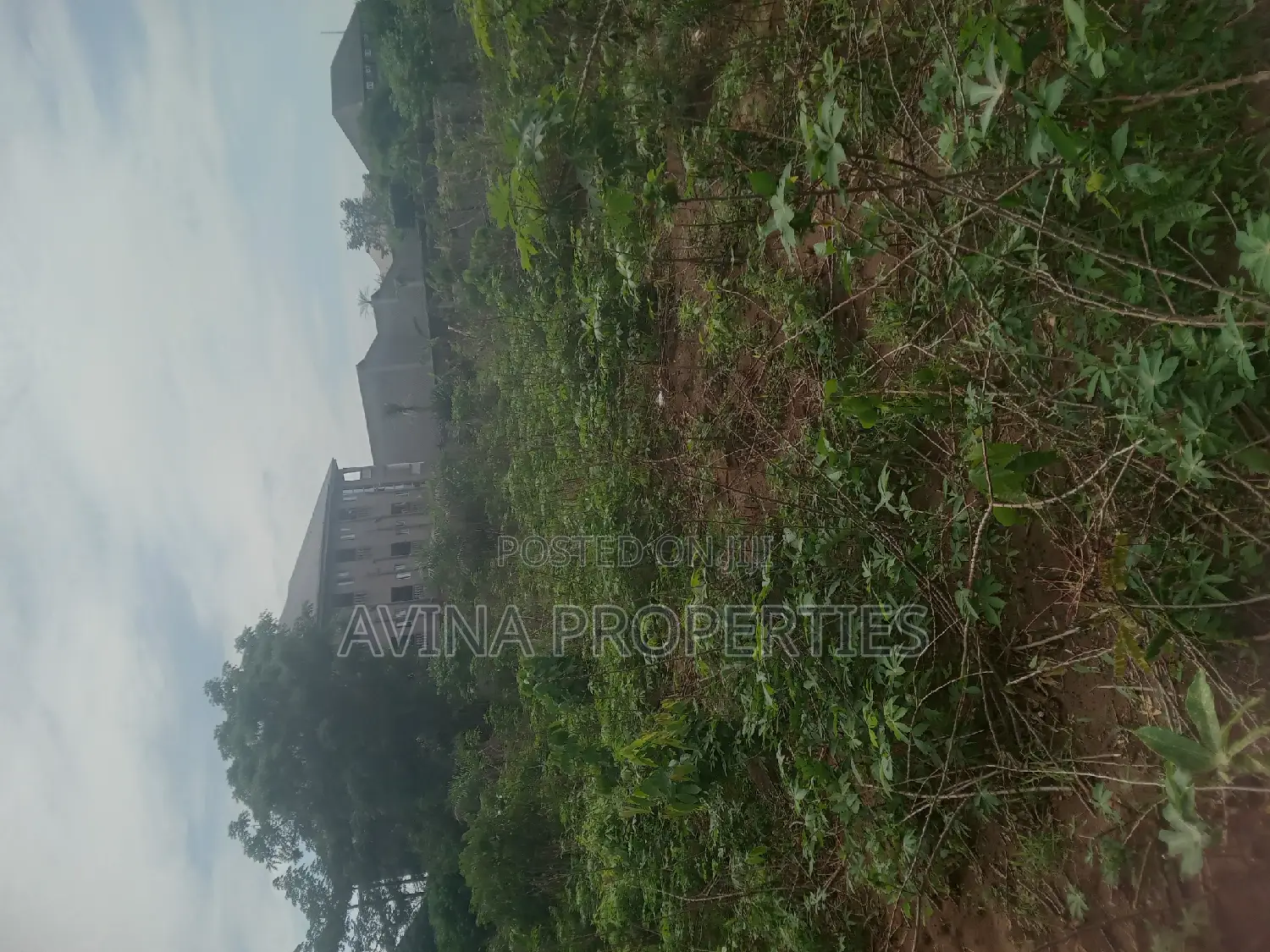 A Total of One Plot of Land Already Surveyed for Sale