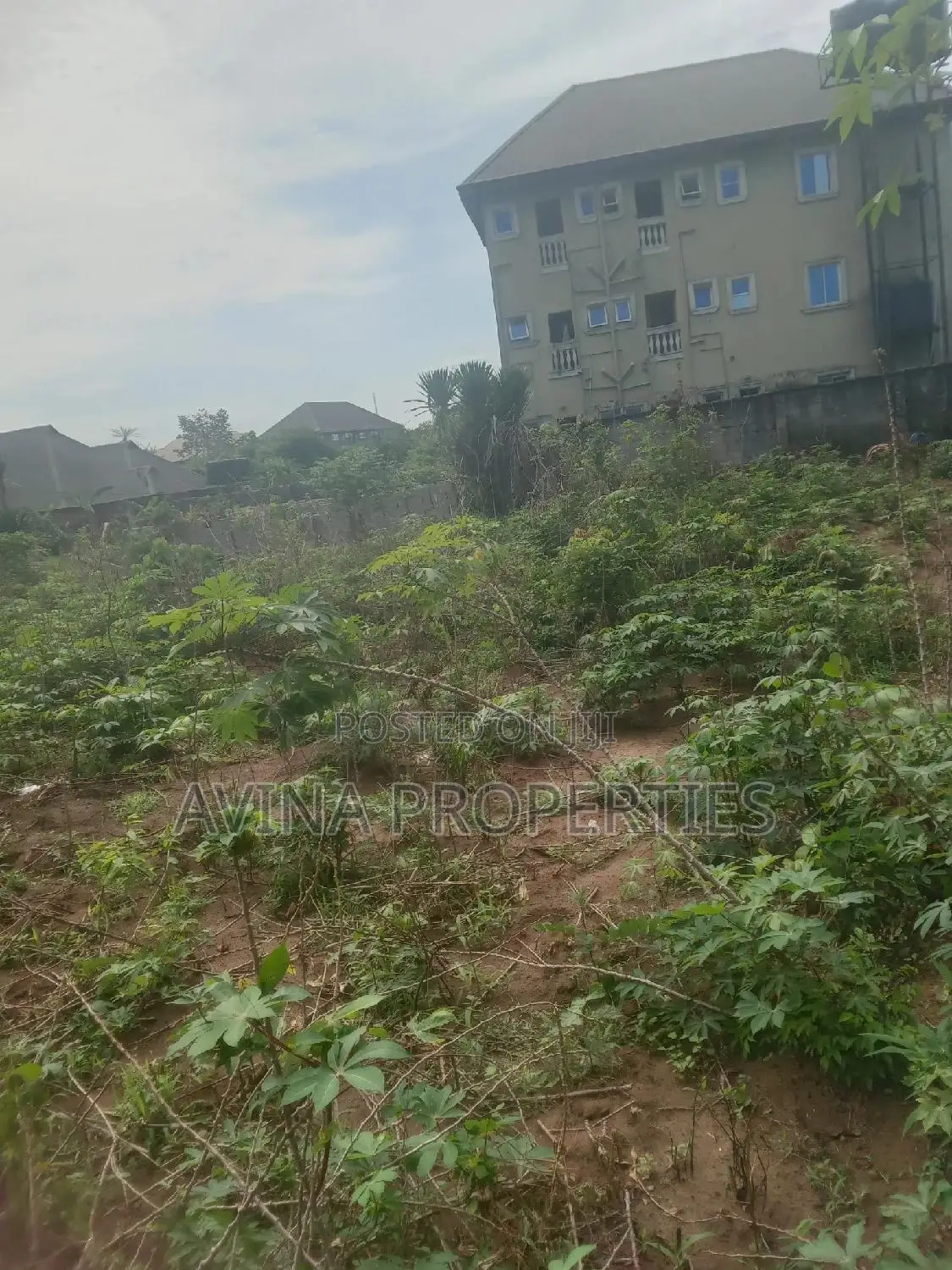 A Total of One Plot of Land Already Surveyed for Sale