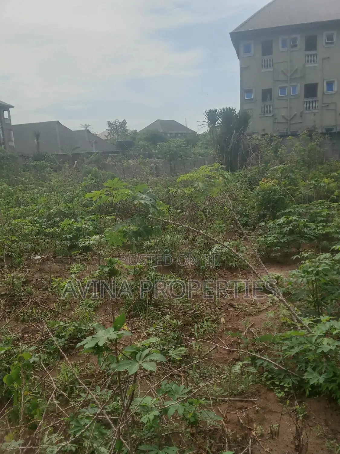 A Total of One Plot of Land Already Surveyed for Sale