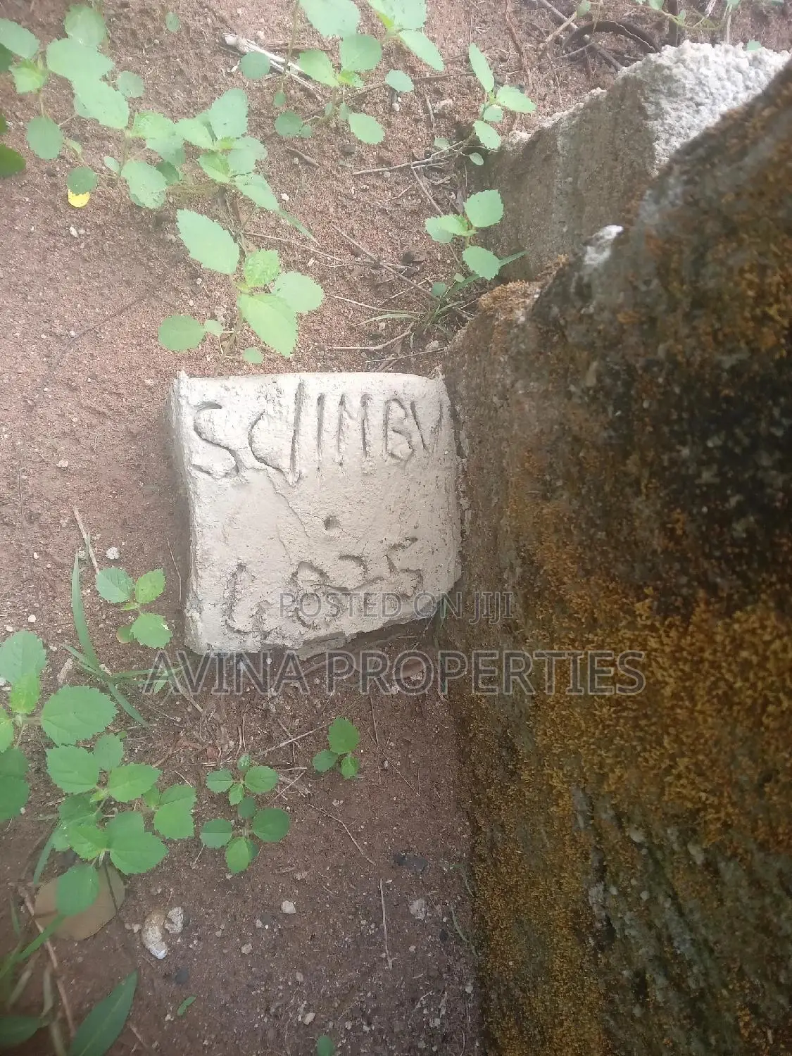 A Total of One Plot of Land Already Surveyed for Sale