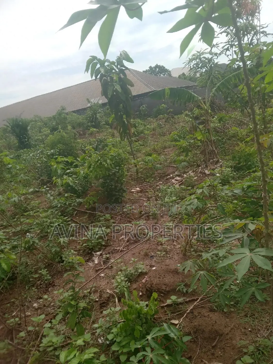 A Plot of Land for Sale