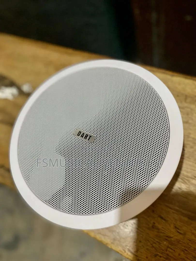 Dart 30watts Ceiling Speakers
