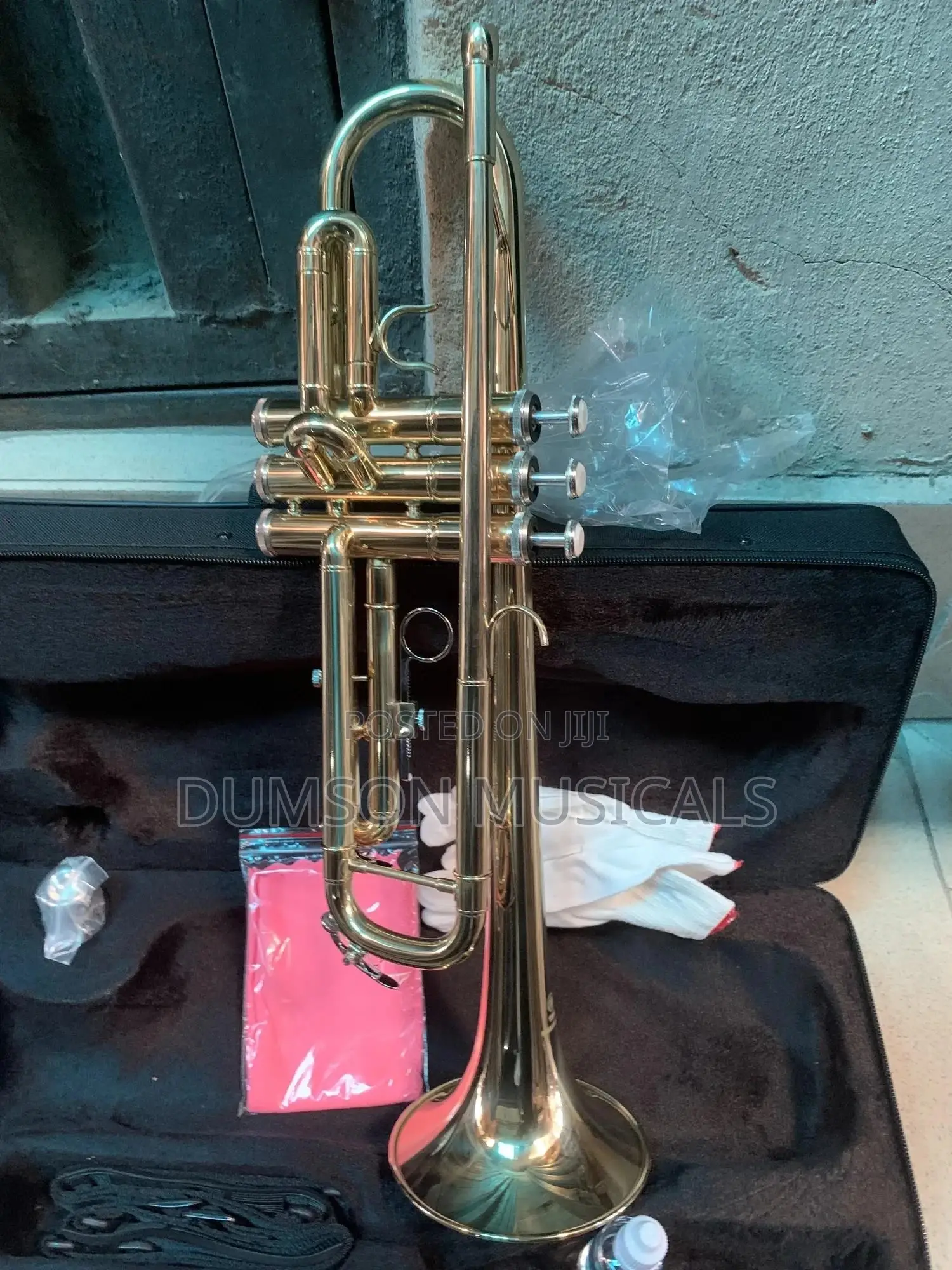 Trumpet Golden Color