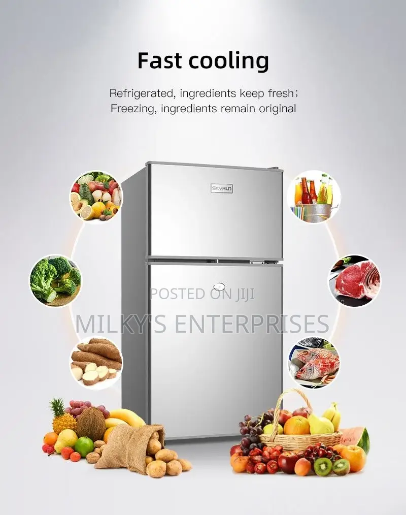 Skyrun Double Door Refrigerator
