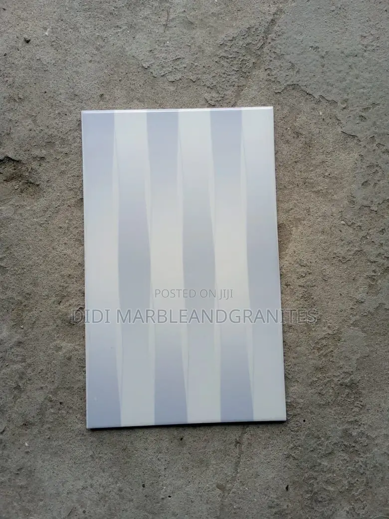 Toilet Wall Tiles 25x40