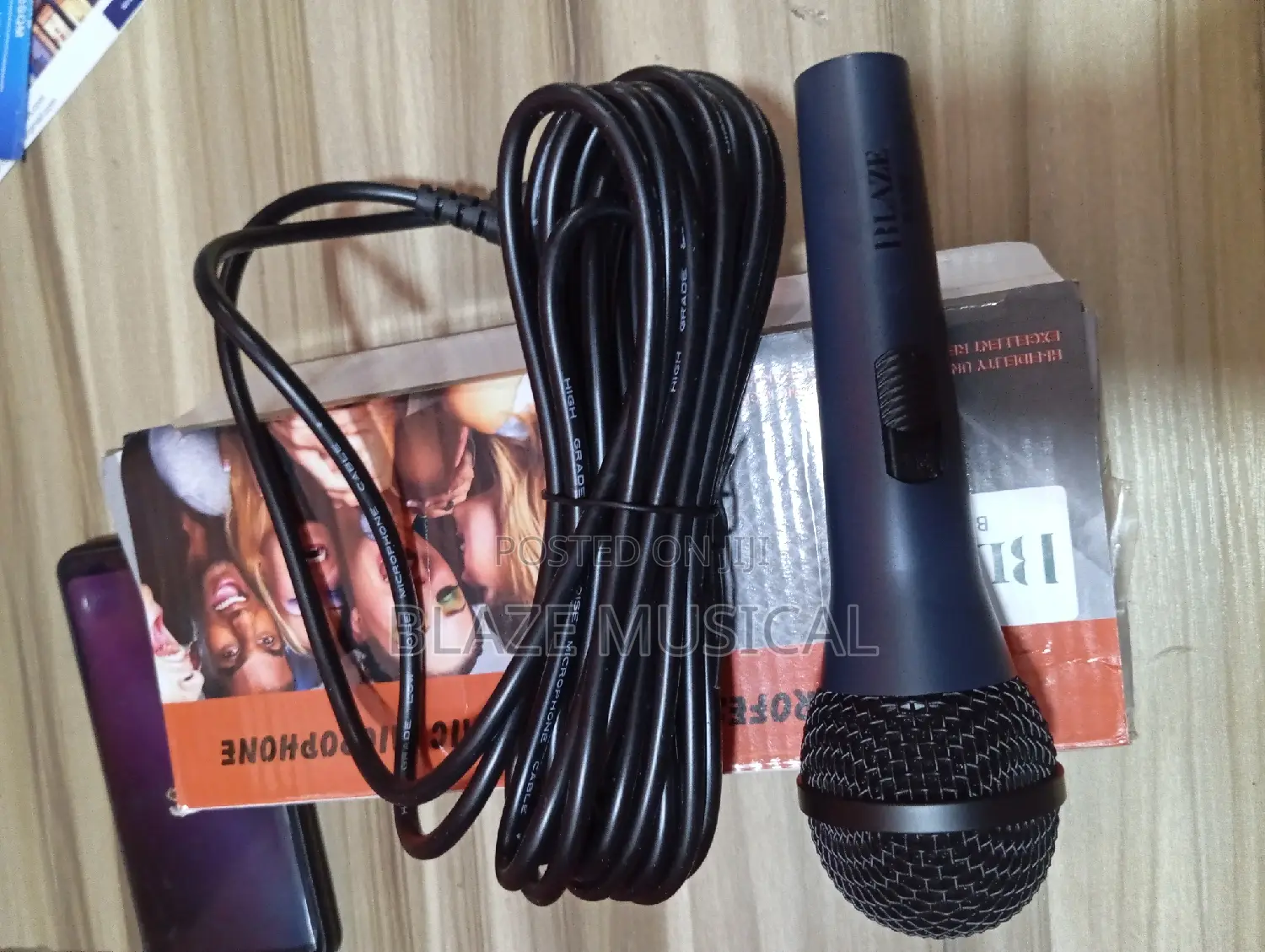 Blaze Professional Wire Microphone