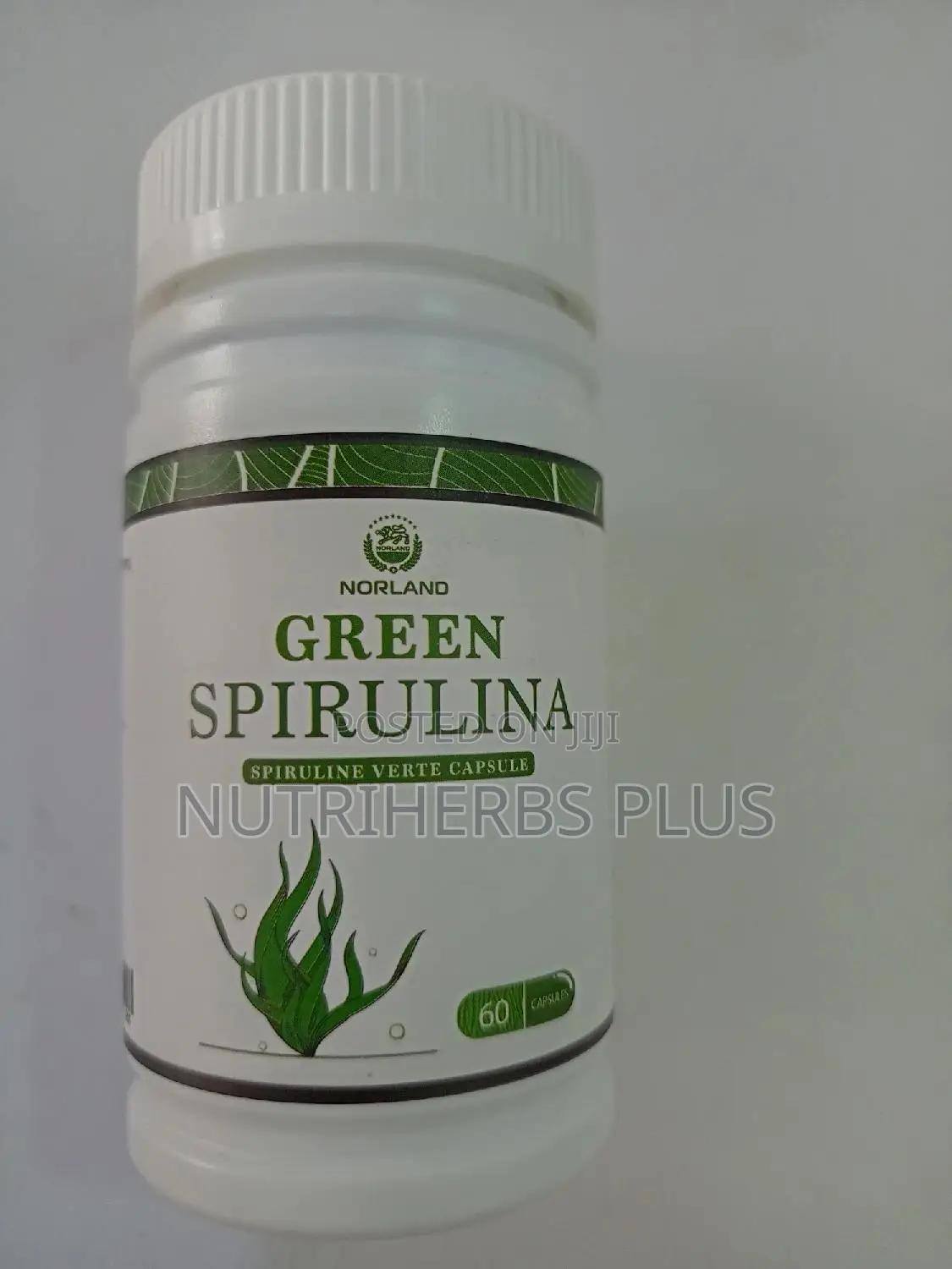 Norland Green Spirulina Capsule: Powerful Antioxidant