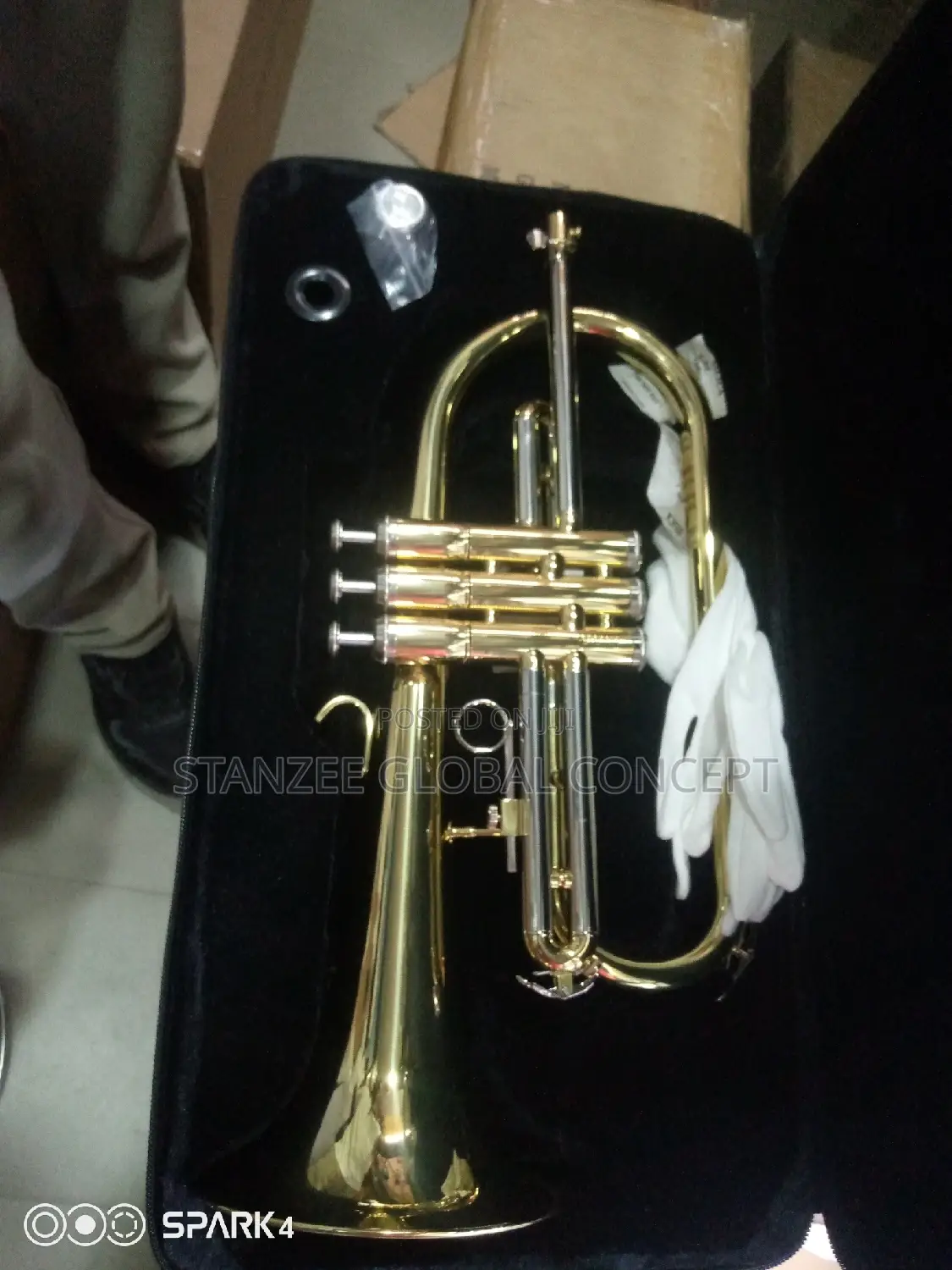 Professional Flugelhorn Gold With Mouthpiece
