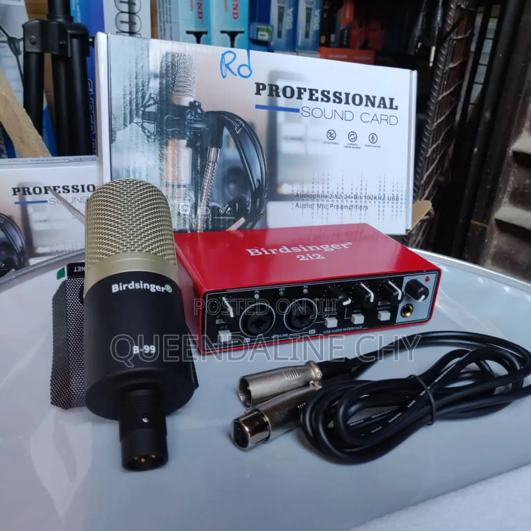 Professional Sound Card Bird Singer 212 and Microphone B-99
