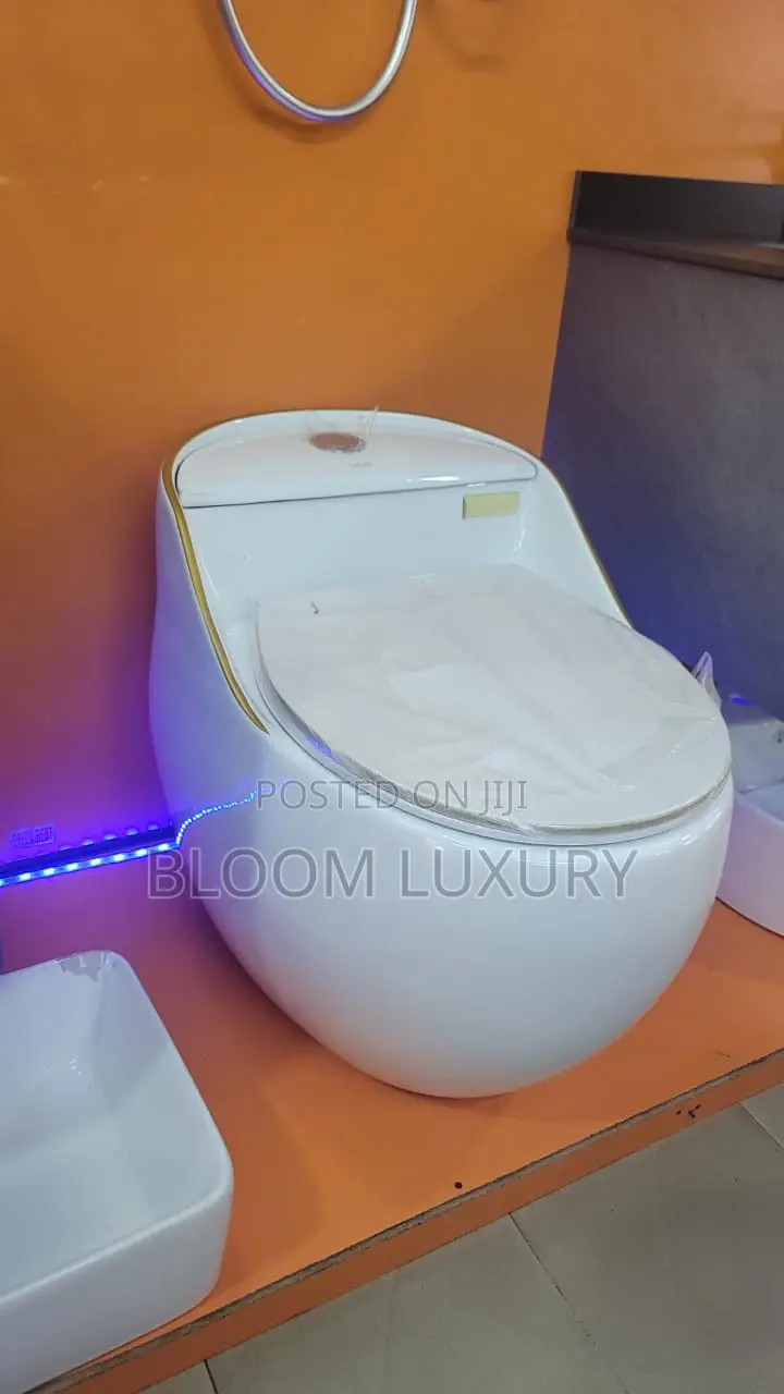 Egg Shape Executive Toilet