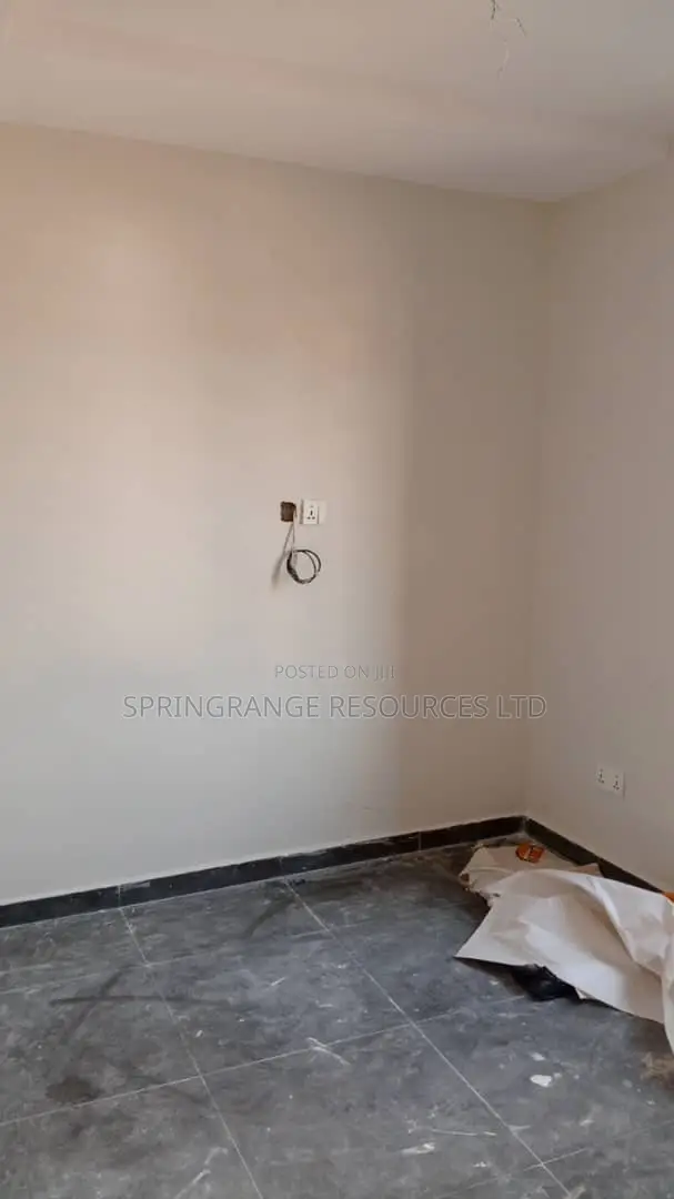 House Painting Pro