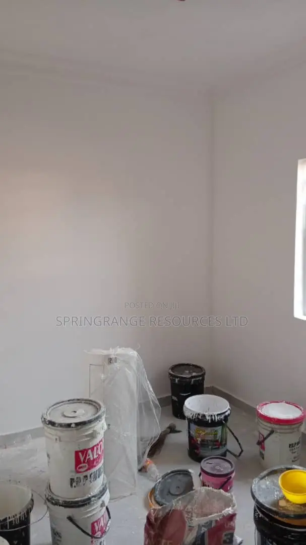 House Painting Pro