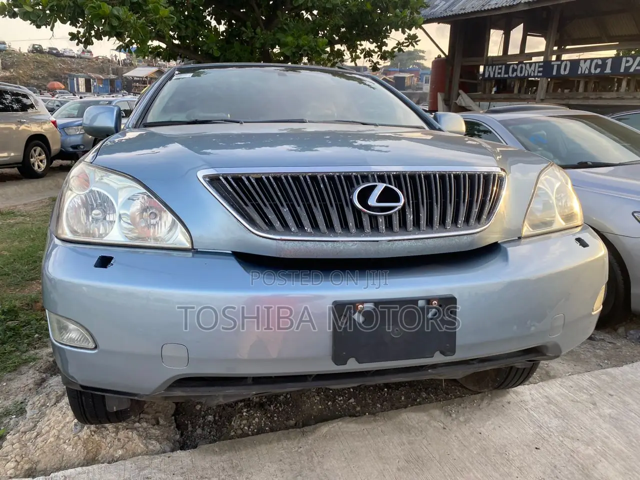 Lexus RX 330 2006 Blue