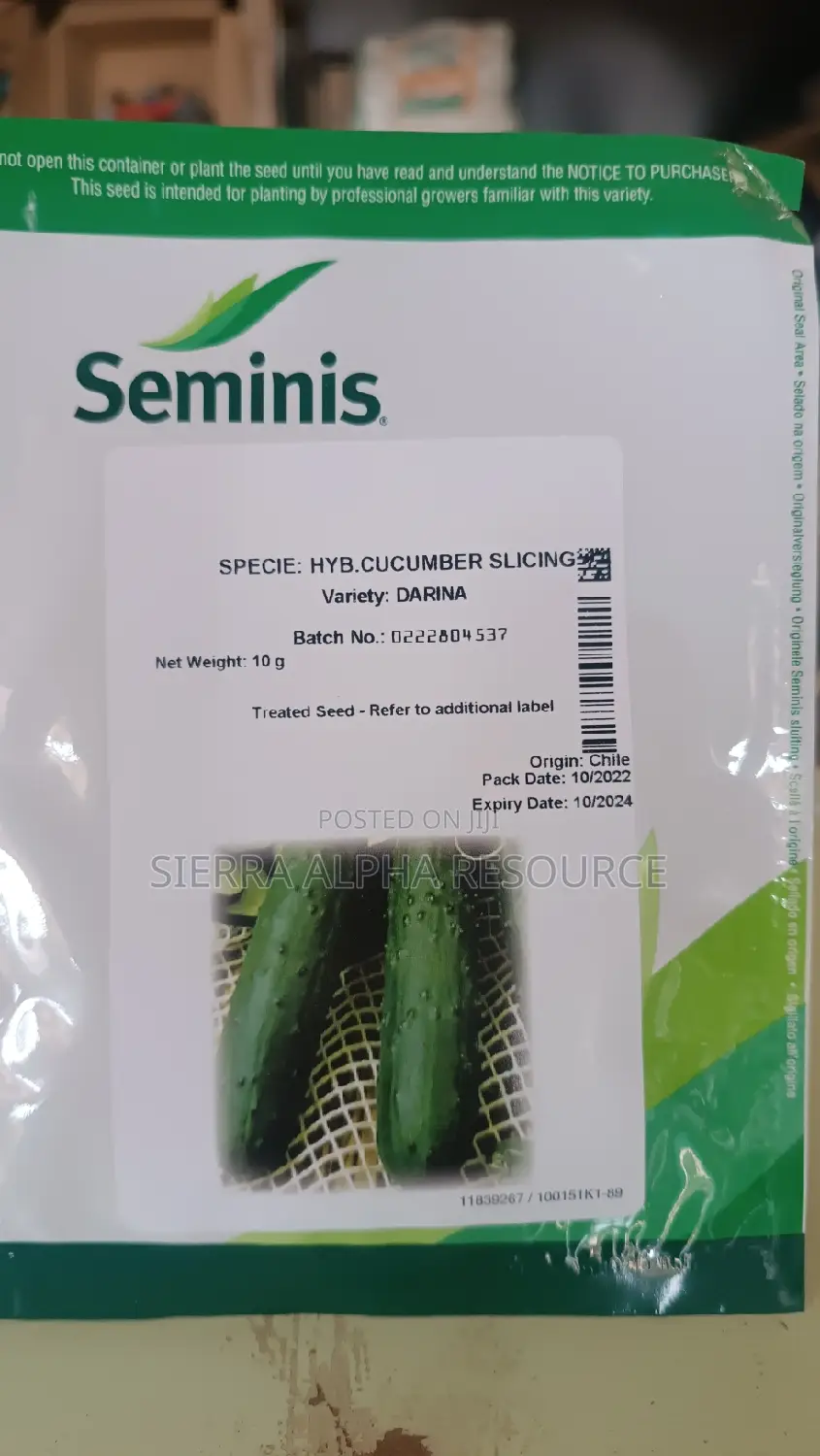 Cucumber Seeds