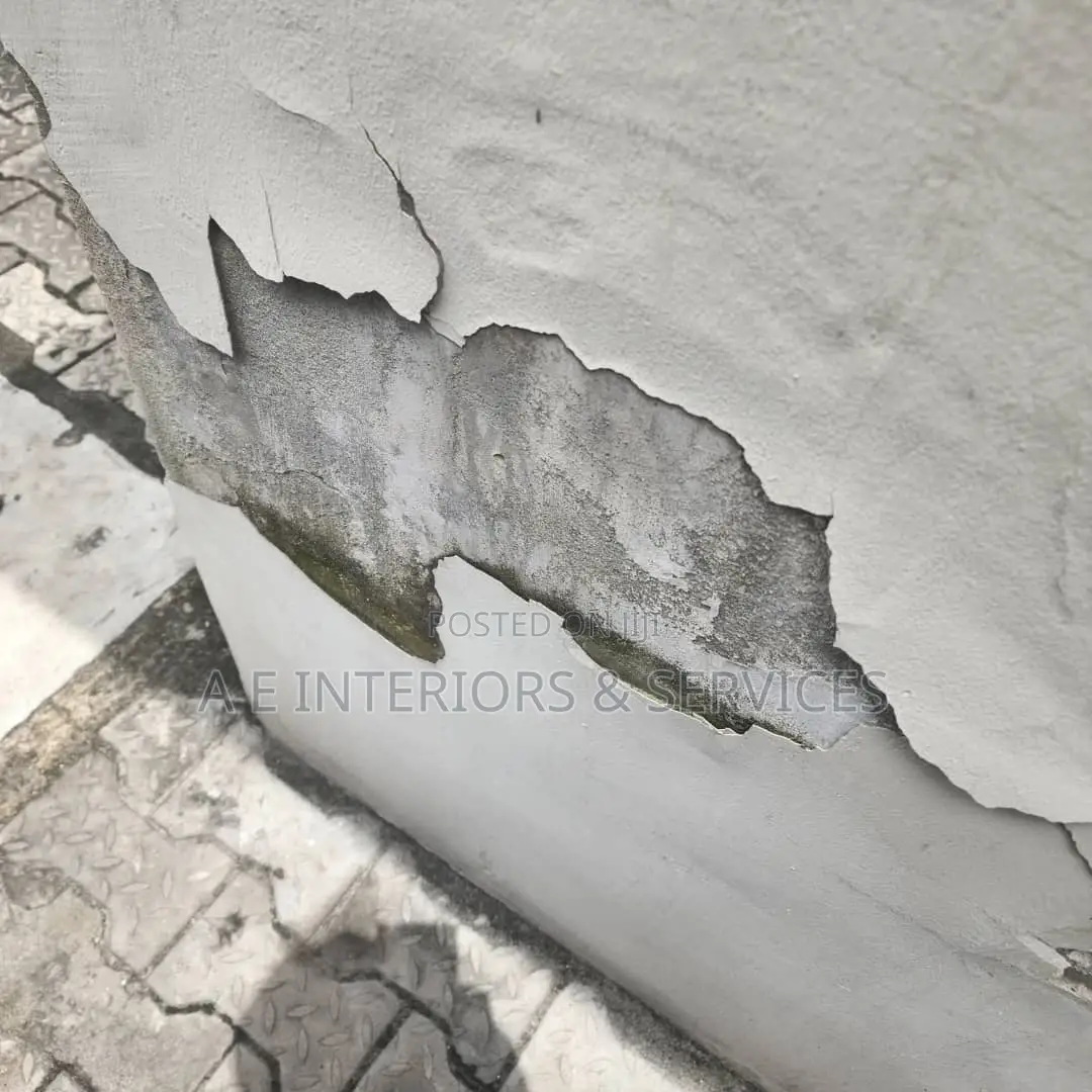 Wall Treatments