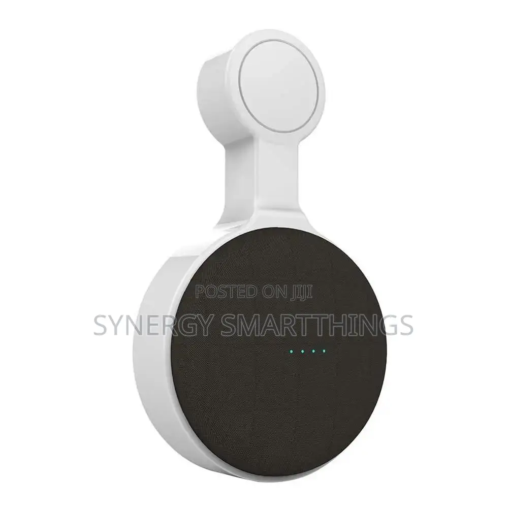 Nest Mini Wall Hanger