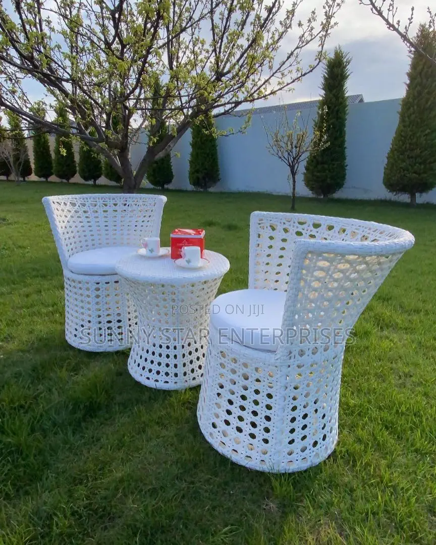 Quality Executive Cane Chair for Hotels, Bars and Home Use