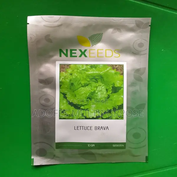 Lettuce Seeds 10g