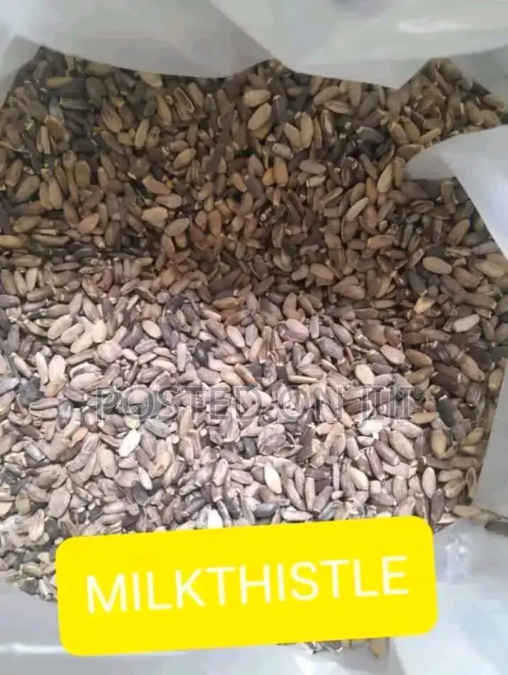Milk Thistle 100g
