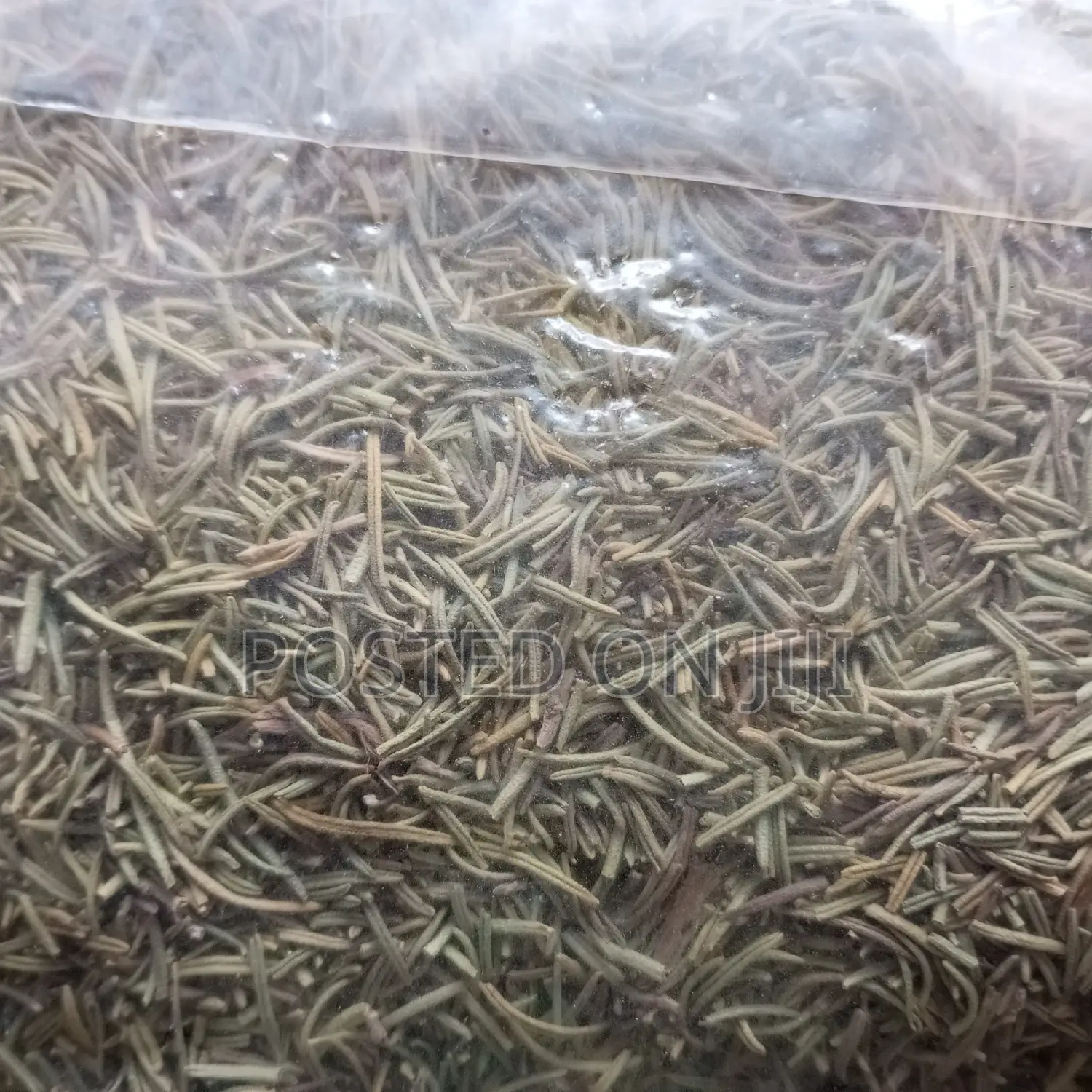 Rosemary 100g