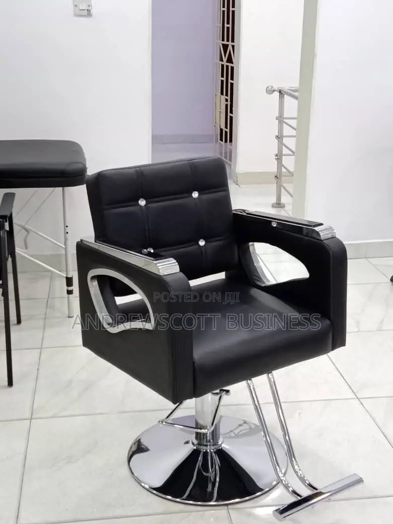 Salon Chair
