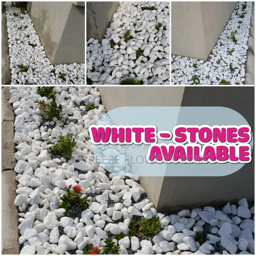 Decorative White Stones