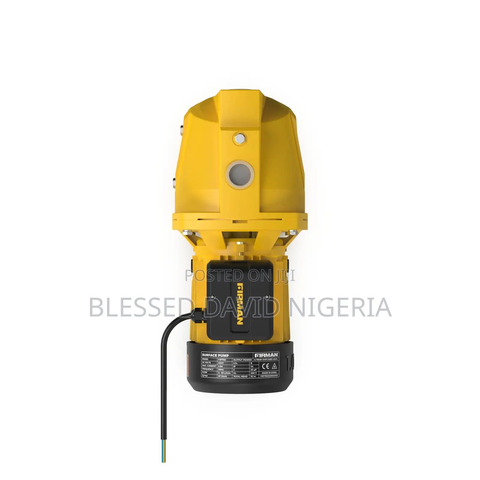 Firman 1hp Fjp750 Surface Pumping Machine