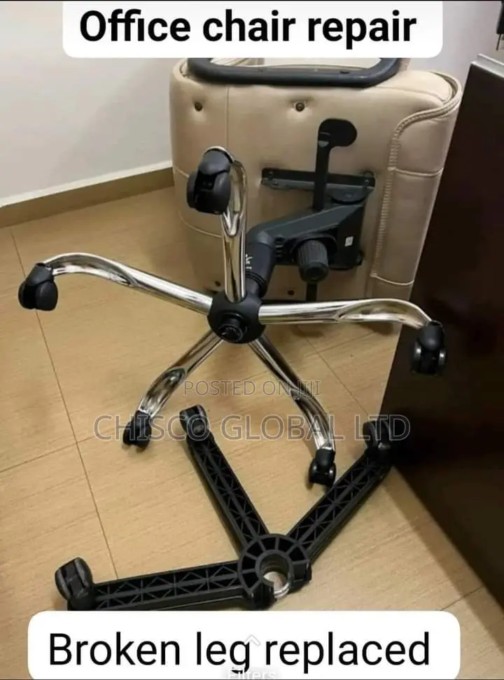 Professional Repair and Services