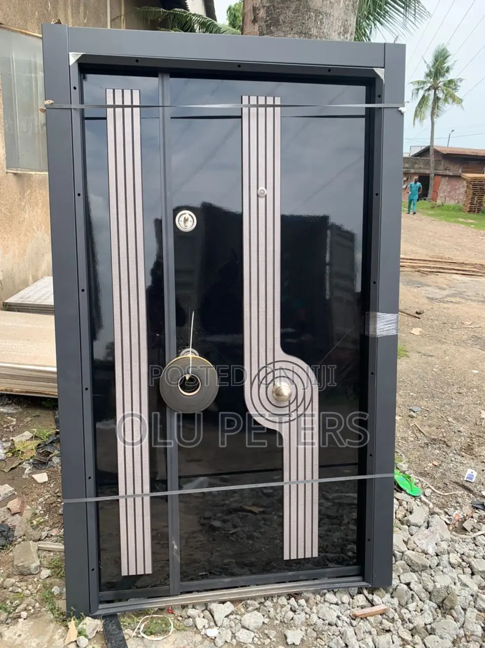 Luxury Entrance Door